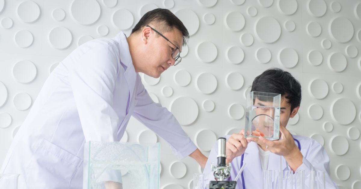 Jasa Desain Presentasi Kompetisi Ilmiah Sekolah Internasional di Indonesia